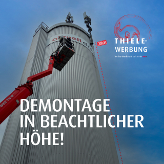 Demontage in beachtlicher Höhe!